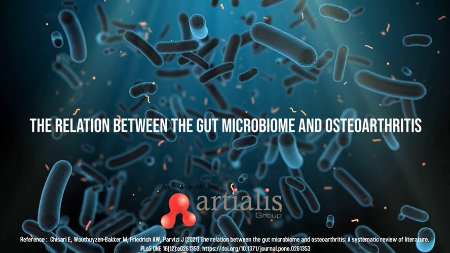 microbiote.png